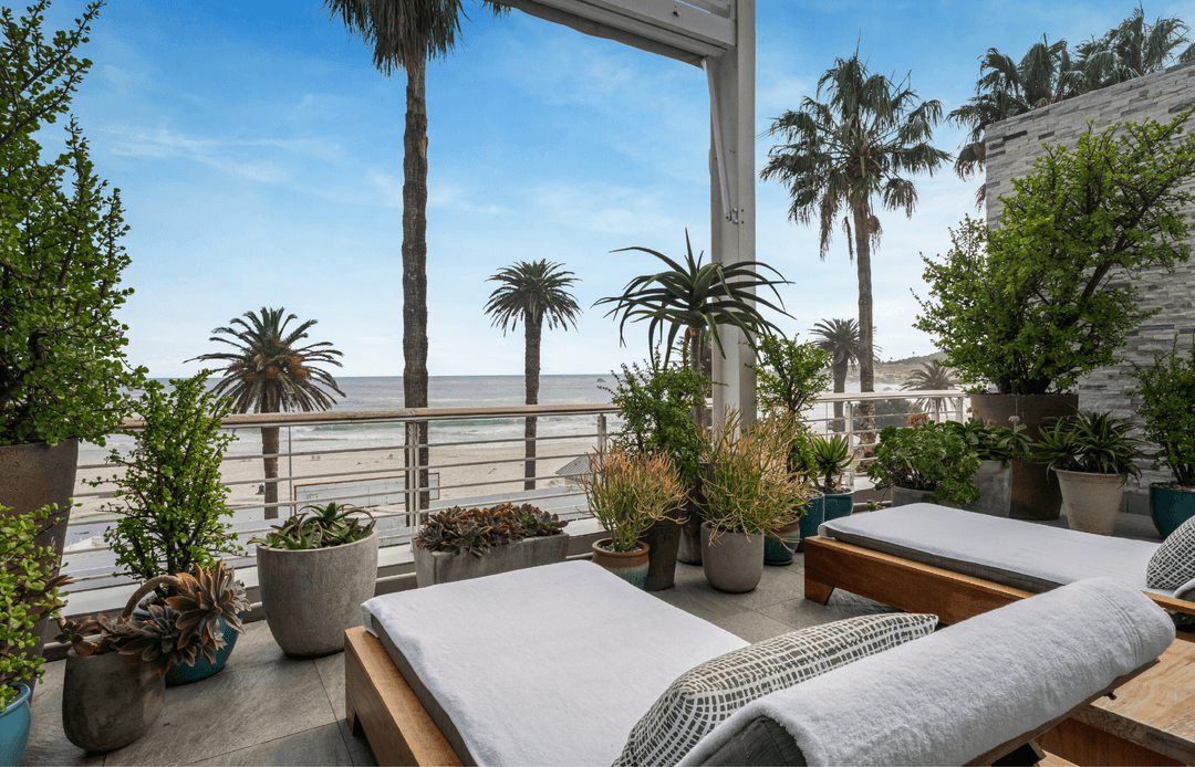Deluxe Sea-Facing Suite terrace with sun loungers surrounded by potted palms and succulents overlooking Camps Bay beach