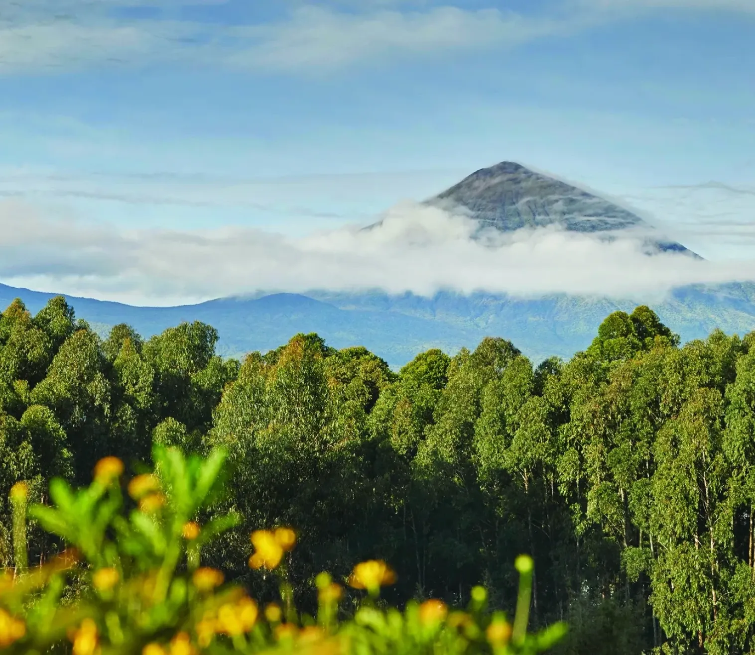 Mountain-Gorilla-Adventure-Image09
